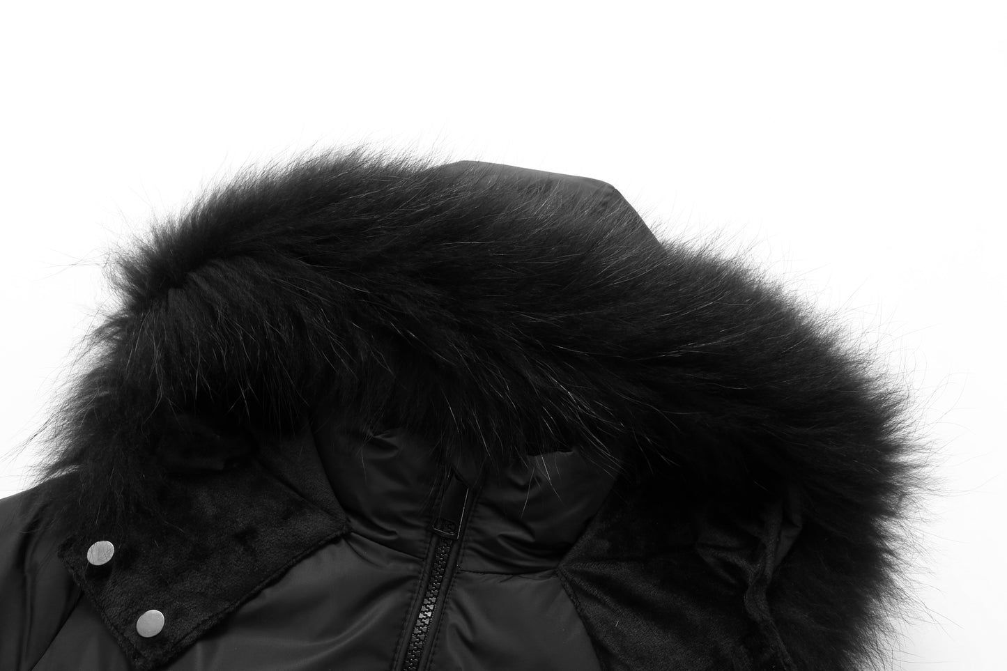 Glacierfeather