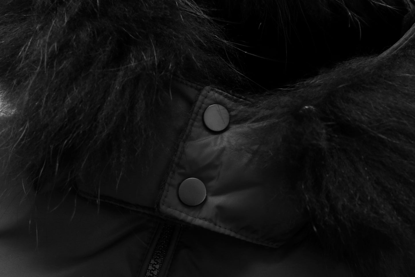 Glacierfeather